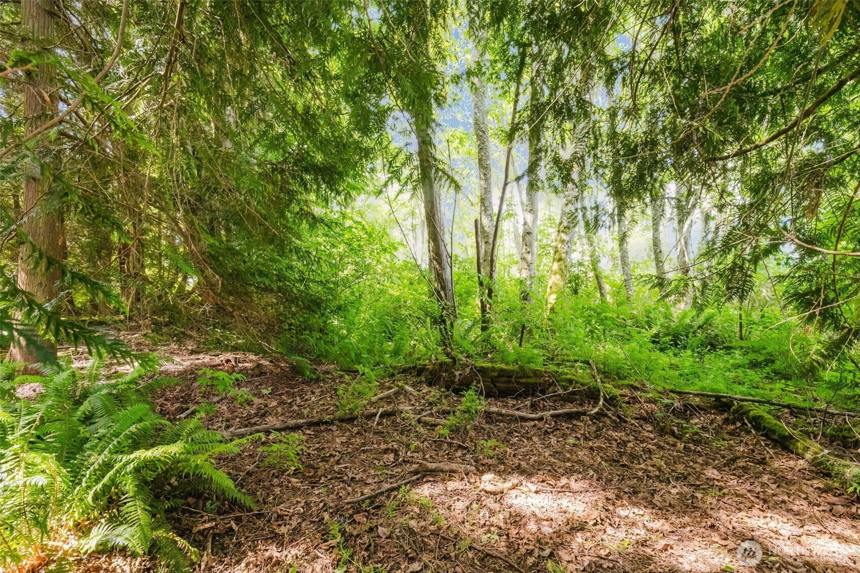 38743 Tinker Place NE Hansville WA 98340