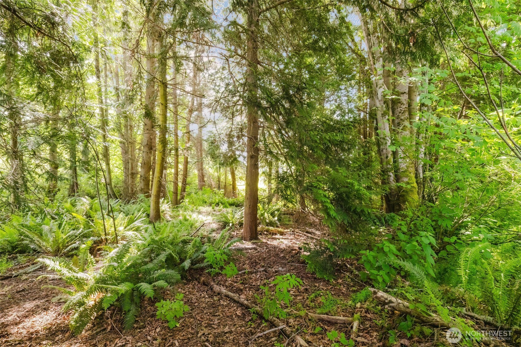 38743 Tinker Place NE Hansville WA 98340