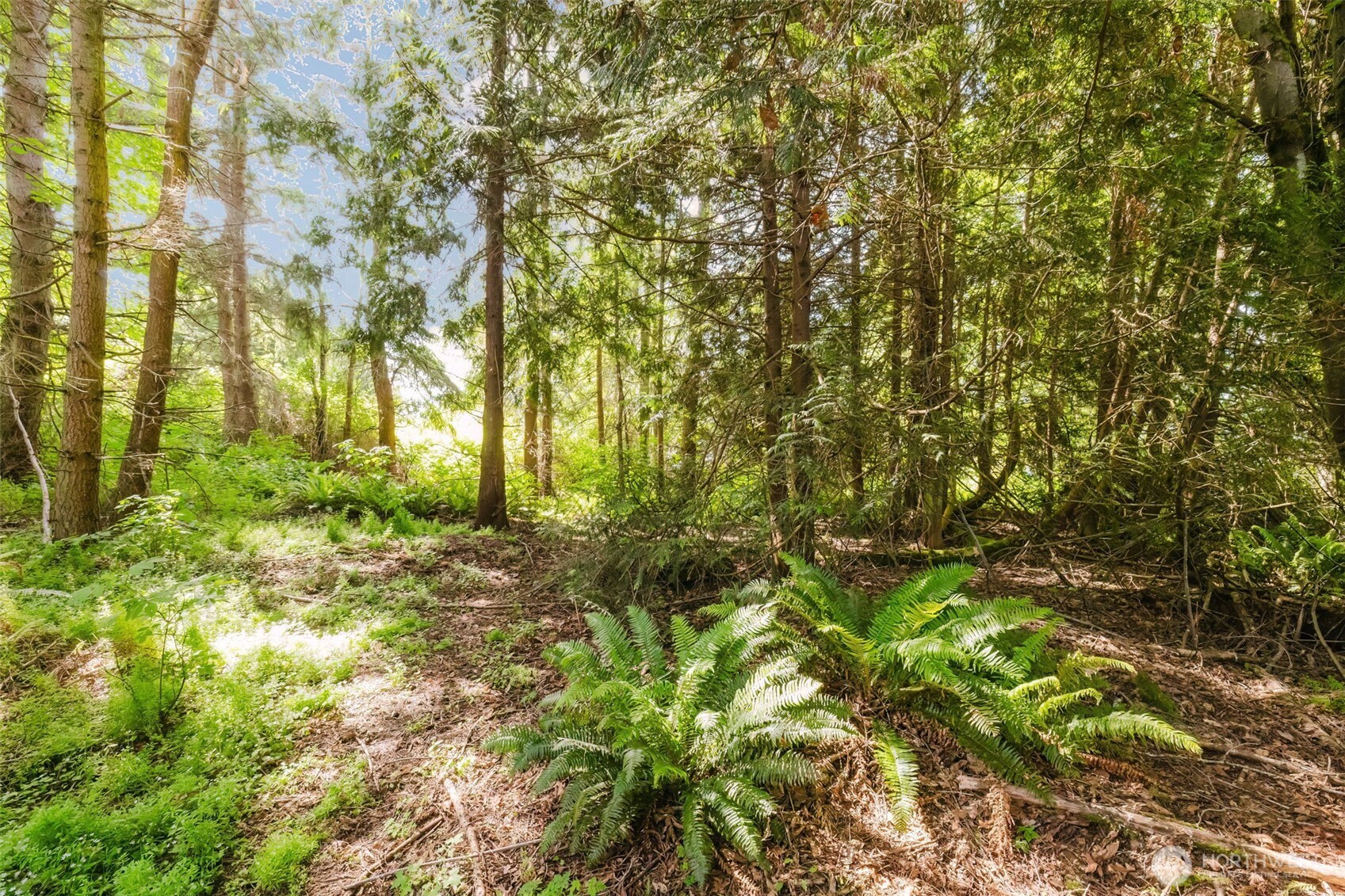 38743 Tinker Place NE Hansville WA 98340