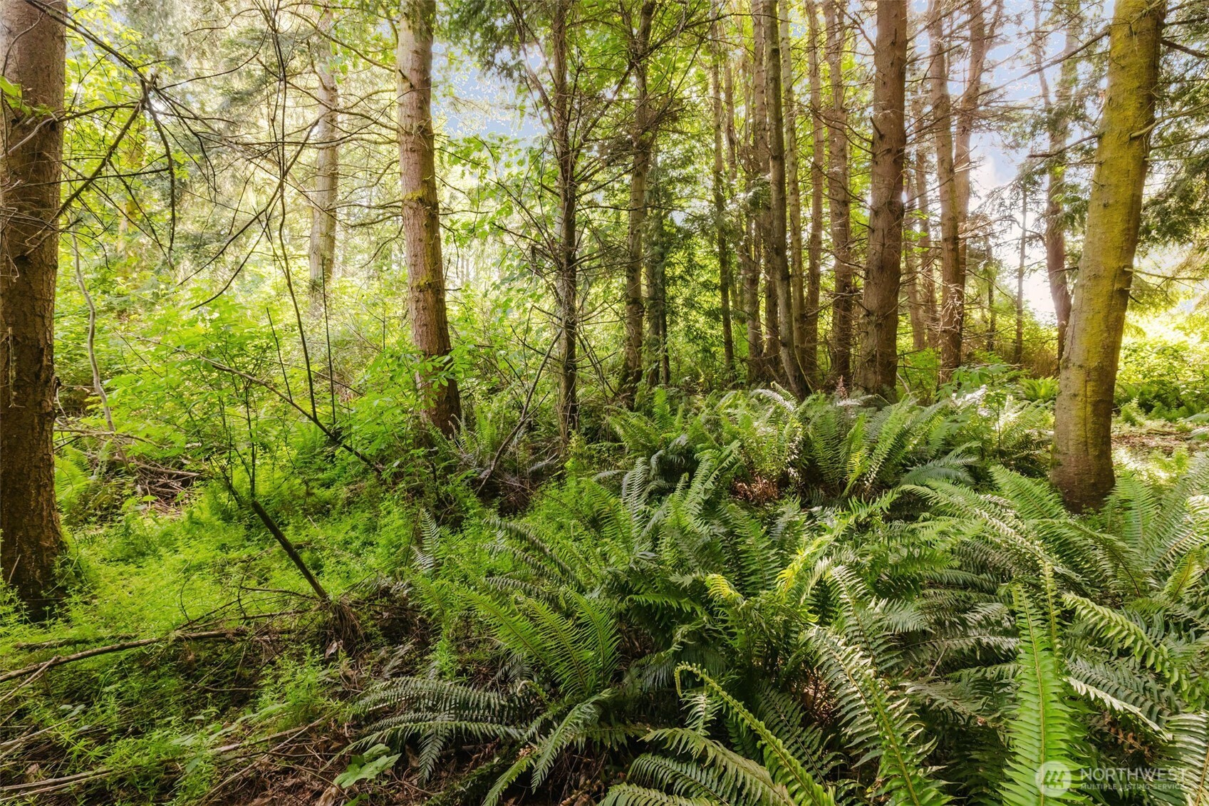 38743 Tinker Place NE Hansville WA 98340