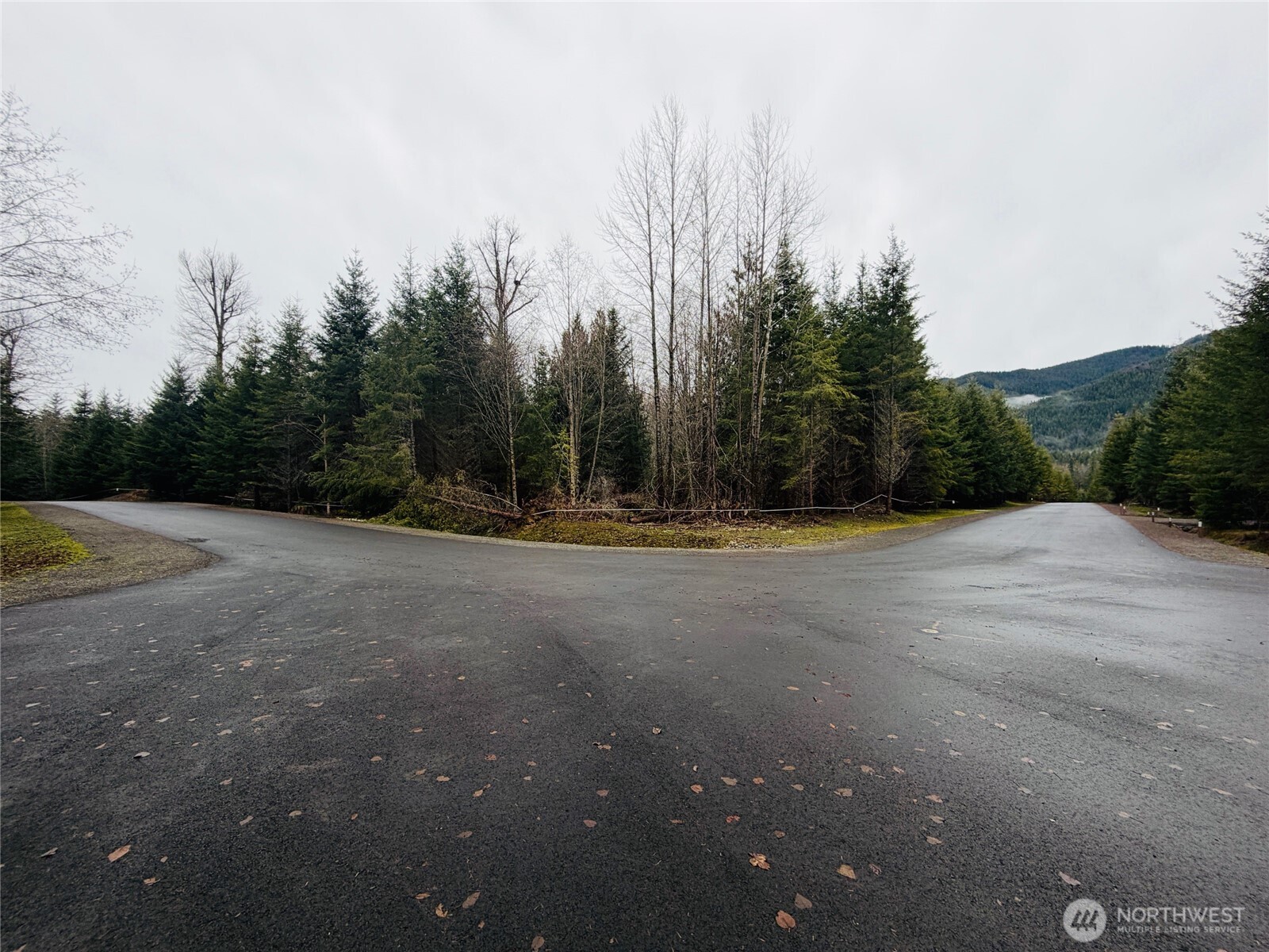 12064 Elk Trails Drive E Greenwater WA 98022