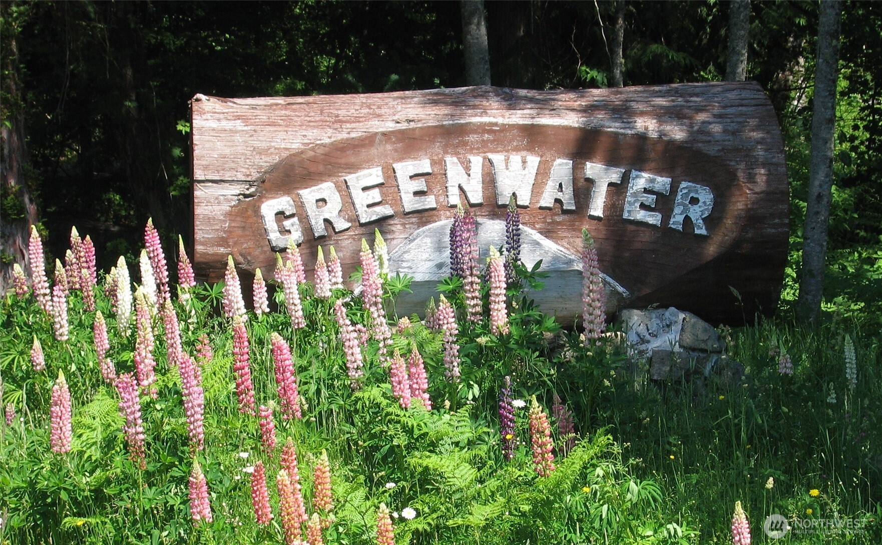 12064 Elk Trails Drive E Greenwater WA 98022
