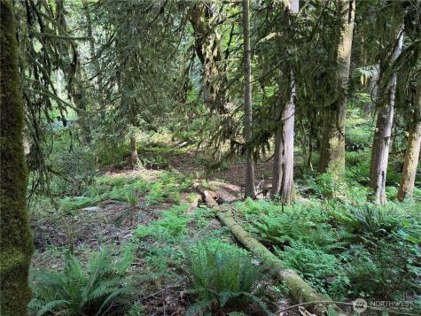 1111 Mountain Trail Road Brinnon WA 98320