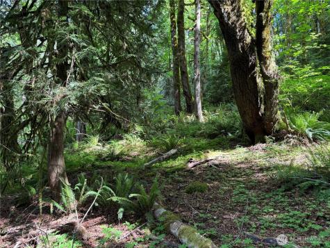 1111 Mountain Trail Road Brinnon WA 98320