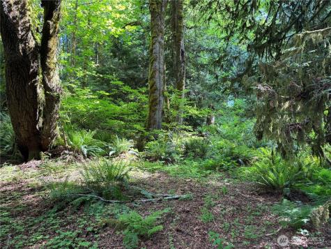 1111 Mountain Trail Road Brinnon WA 98320