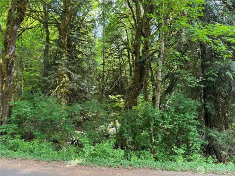 1111 Mountain Trail Road Brinnon WA 98320