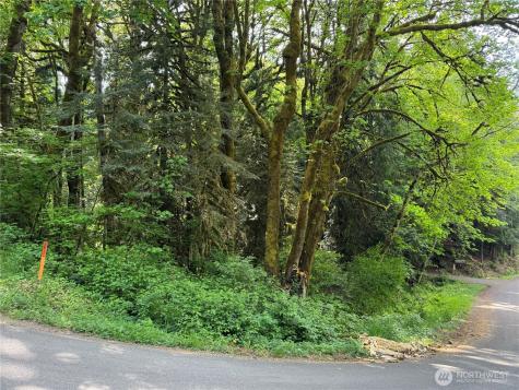 1111 Mountain Trail Road Brinnon WA 98320