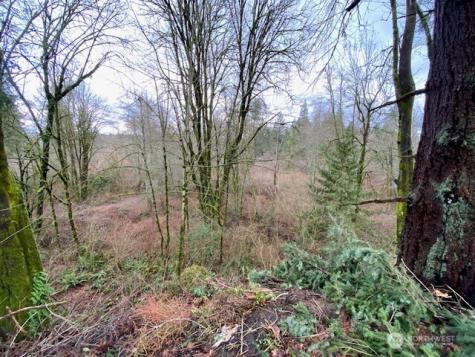 132 Linda Street SE Tumwater WA 98501