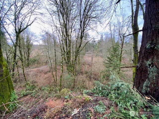 132 Linda Street SE Tumwater WA 98501