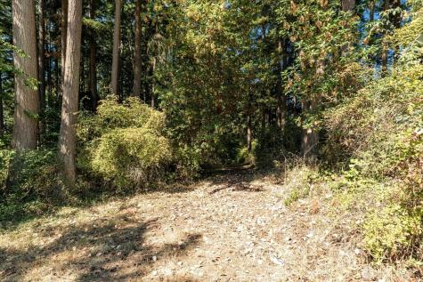 0 Old Polnell Road Oak Harbor WA 98277