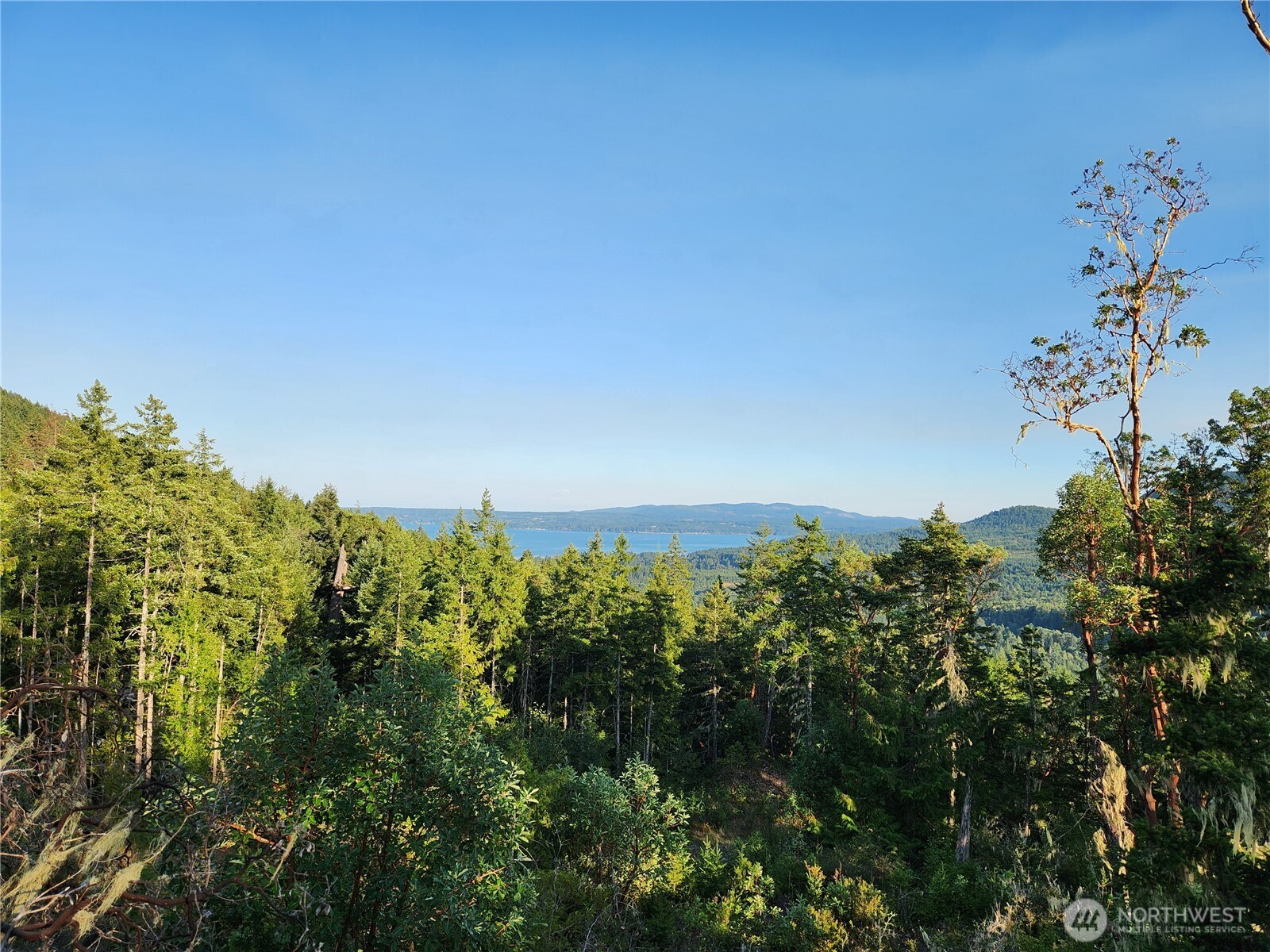 0 Rocky Brook Road Brinnon WA 98320