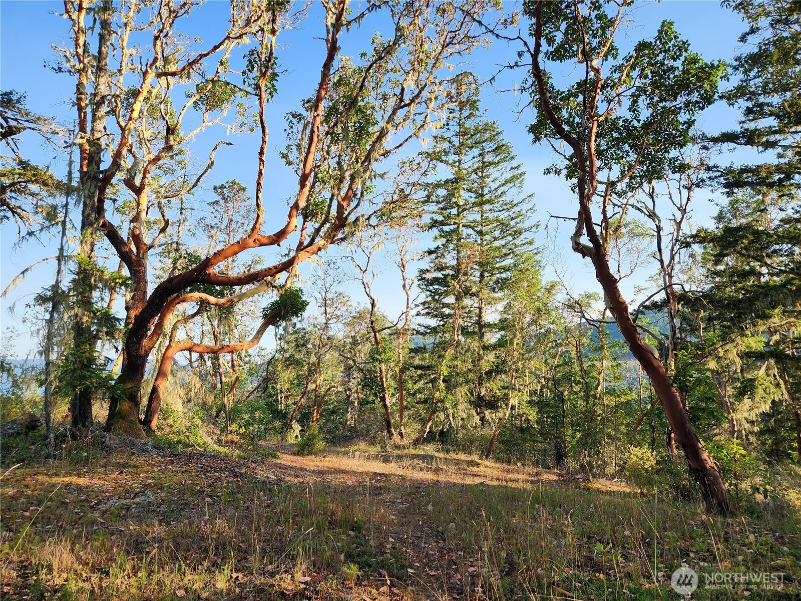0 Rocky Brook Road Brinnon WA 98320
