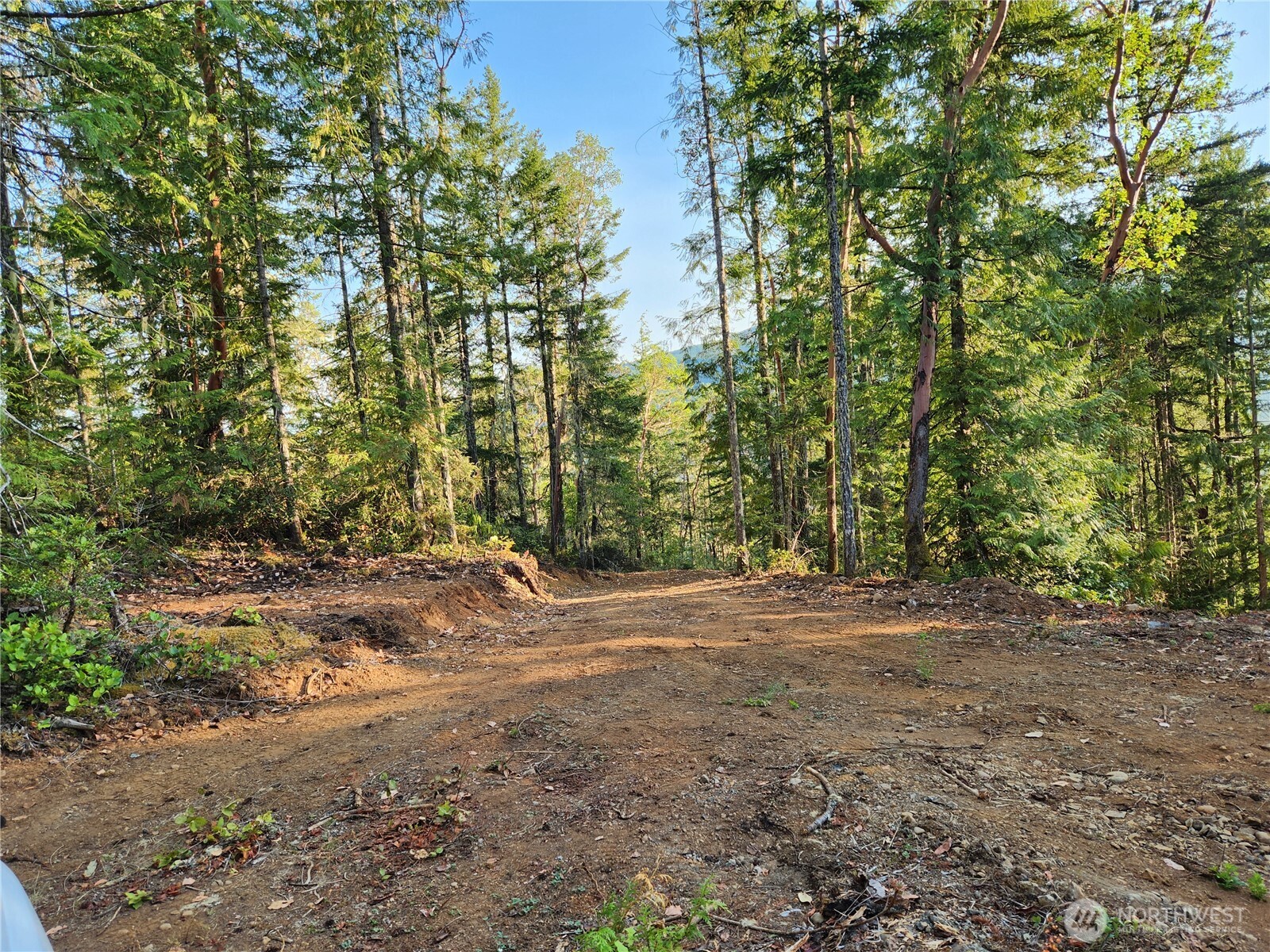 0 Rocky Brook Road Brinnon WA 98320