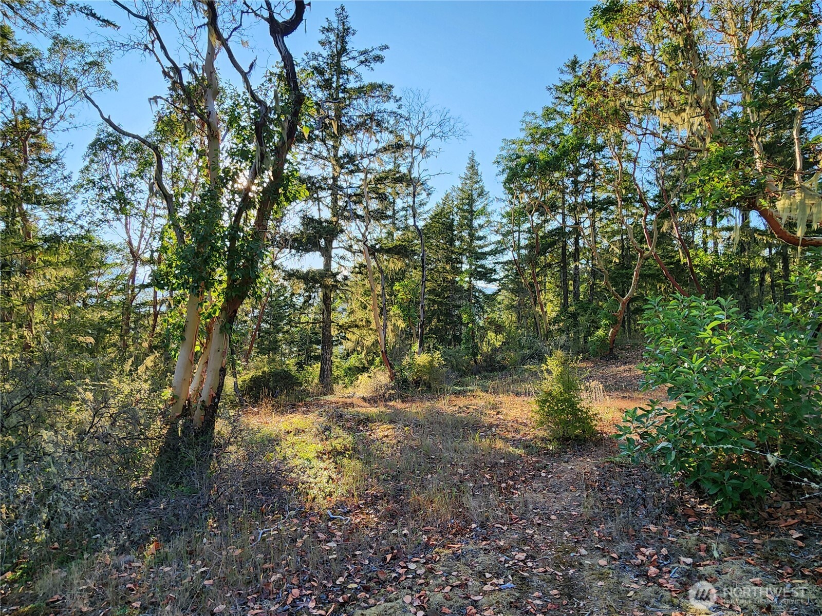 0 Rocky Brook Road Brinnon WA 98320