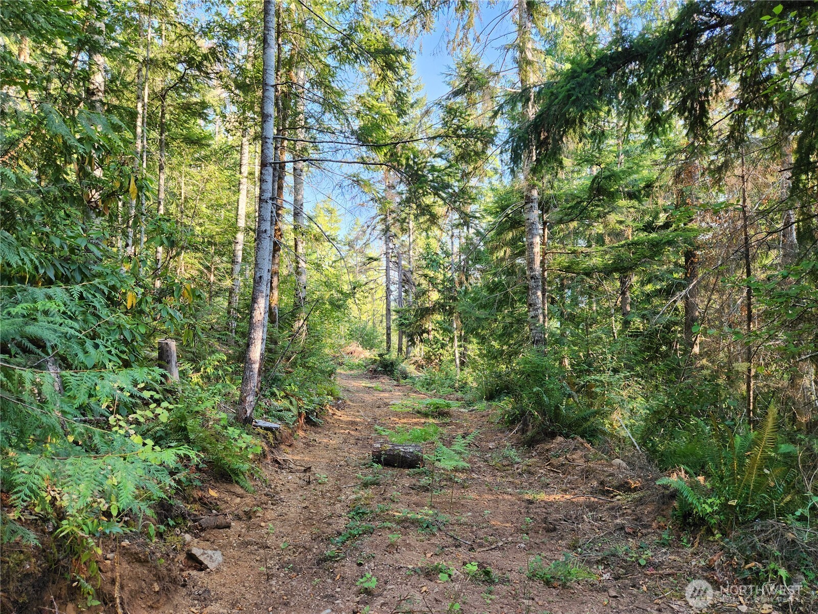 0 Rocky Brook Road Brinnon WA 98320