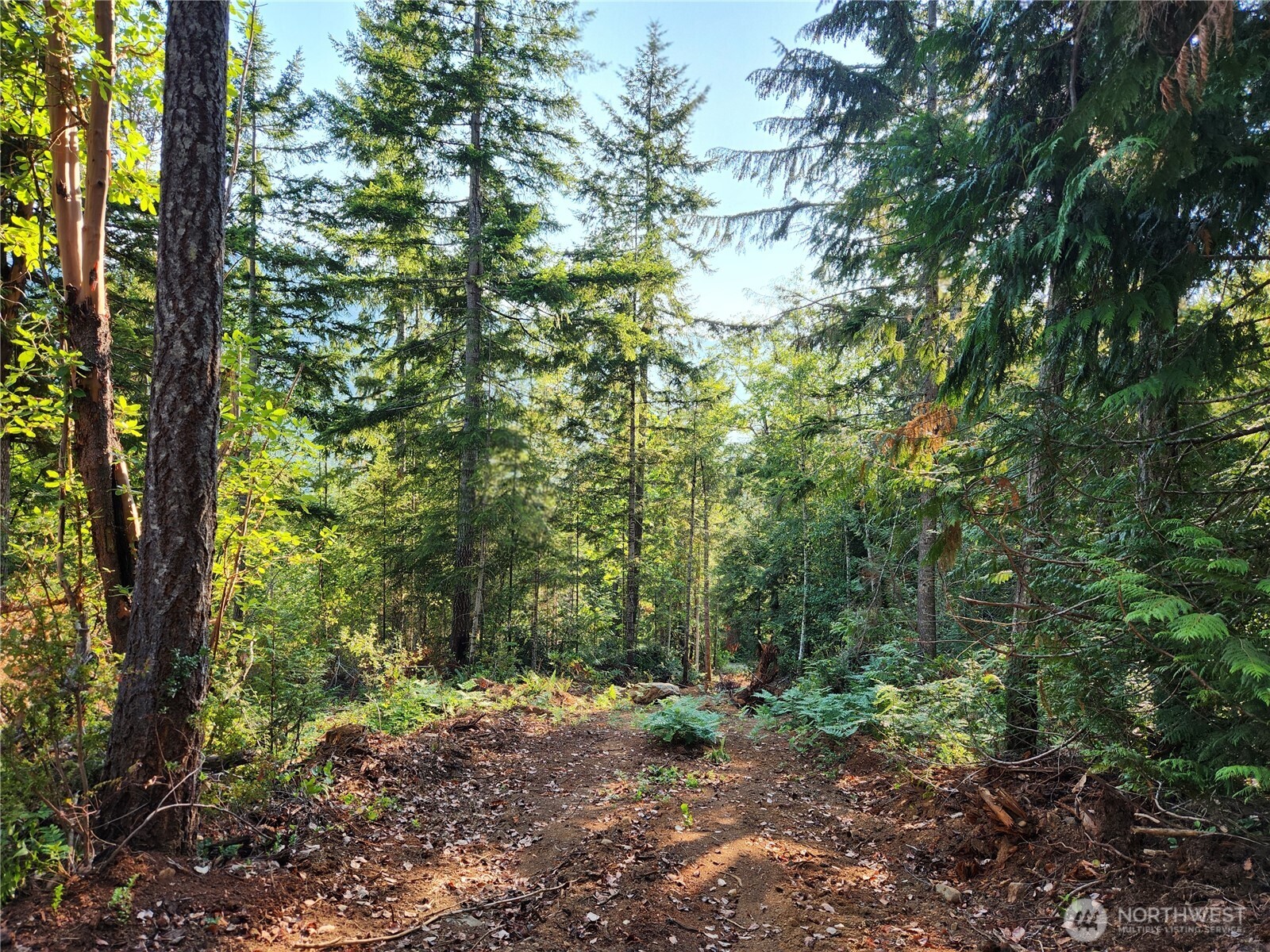 0 Rocky Brook Road Brinnon WA 98320