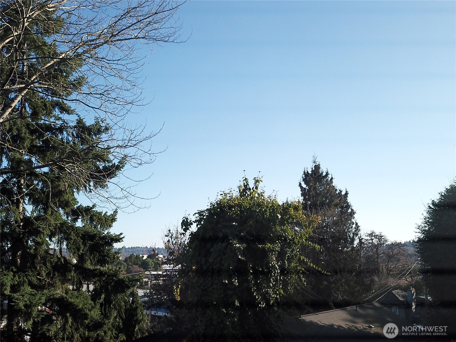 1211 S Trenton Street Seattle WA 98108