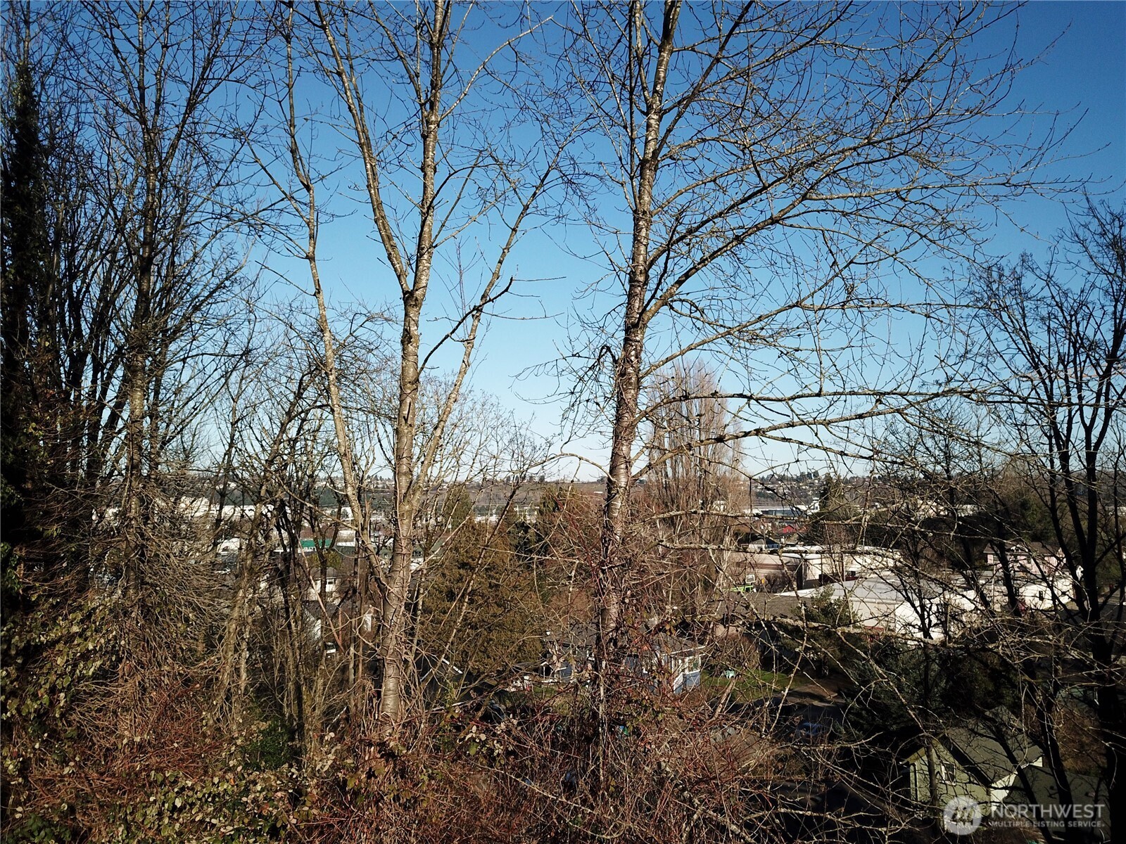 1211 S Trenton Street Seattle WA 98108