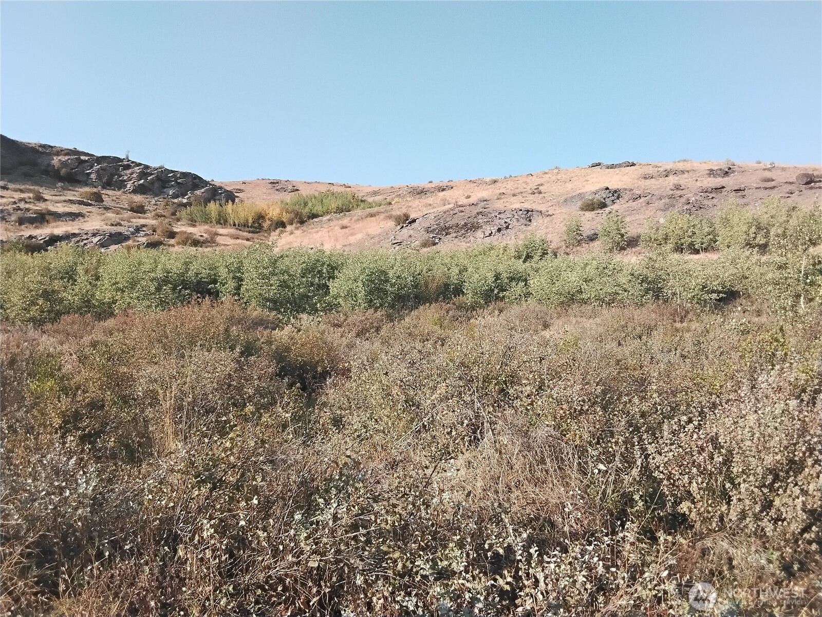 5 Painted Rock Road Tonasket WA 98855