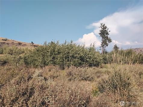 5 Painted Rock Road Tonasket WA 98855