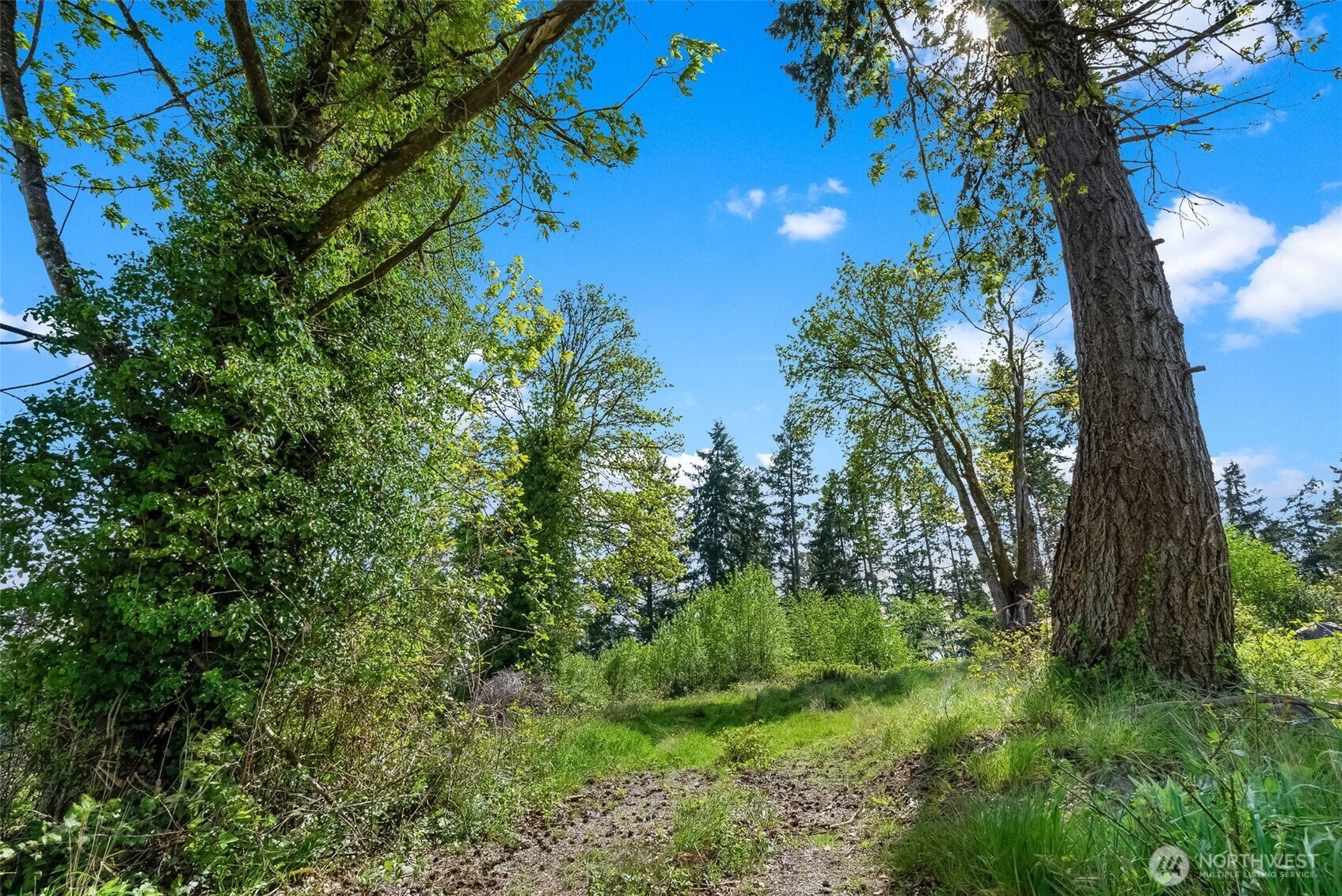 14308 Olalla Crest Lane SE Olalla WA 98359