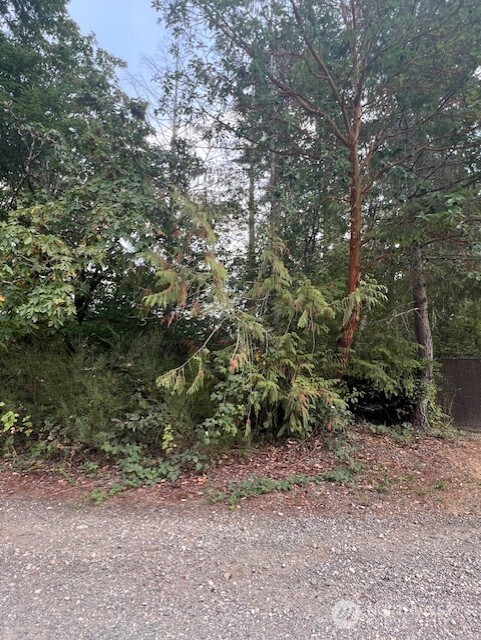 919 Sanford Avenue Lakebay WA 98349