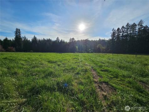 39 Middle Earth Lane Elma WA 98541
