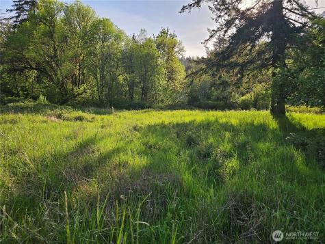 39 Middle Earth Lane Elma WA 98541