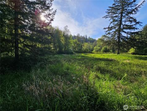 39 Middle Earth Lane Elma WA 98541