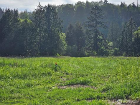 39 Middle Earth Lane Elma WA 98541
