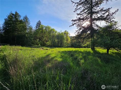 39 Middle Earth Lane Elma WA 98541
