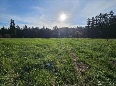 39 Middle Earth Lane Elma WA 98541