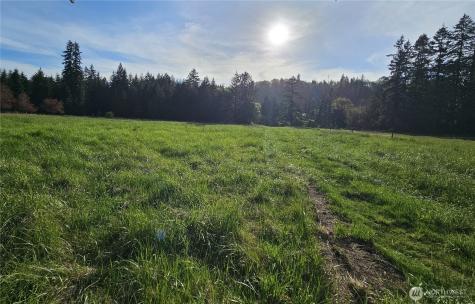 39 Middle Earth Lane Elma WA 98541