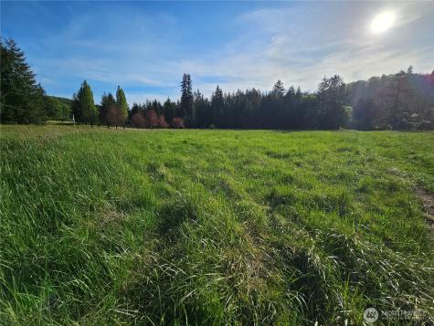 39 Middle Earth Lane Elma WA 98541