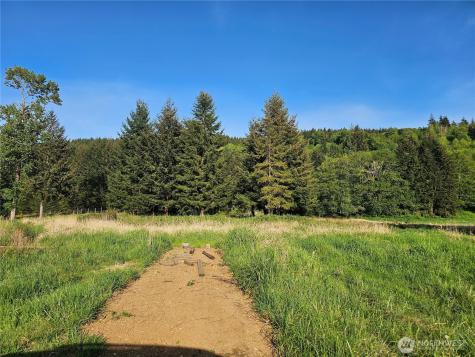 39 Middle Earth Lane Elma WA 98541