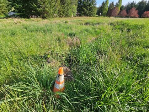 39 Middle Earth Lane Elma WA 98541