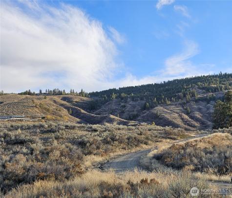 38 Pine Grove Road Oroville WA 98844