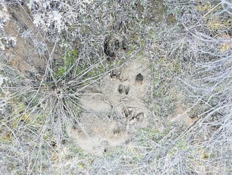 38 Pine Grove Road Oroville WA 98844