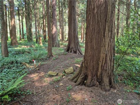 35275 Hood Canal Drive NE Kingston WA 98346