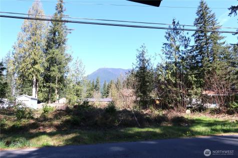 44524 SE 146th Street North Bend WA 98045