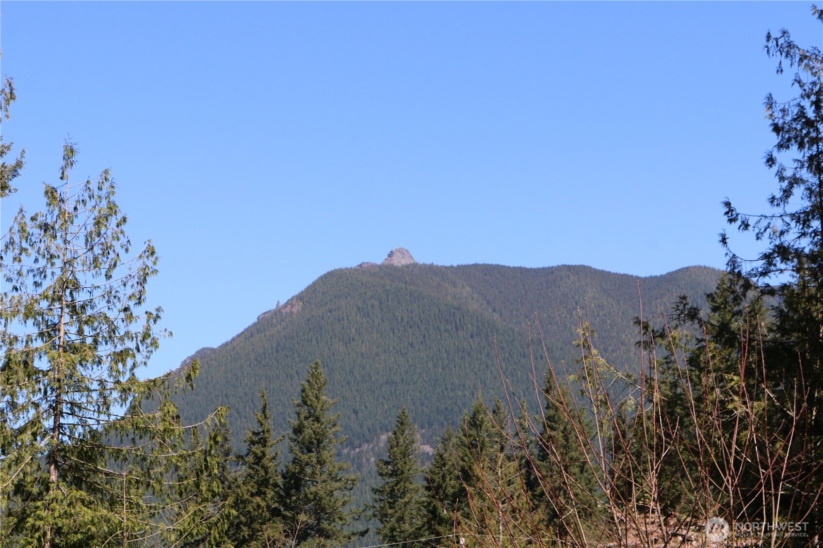 44524 SE 146th Street North Bend WA 98045
