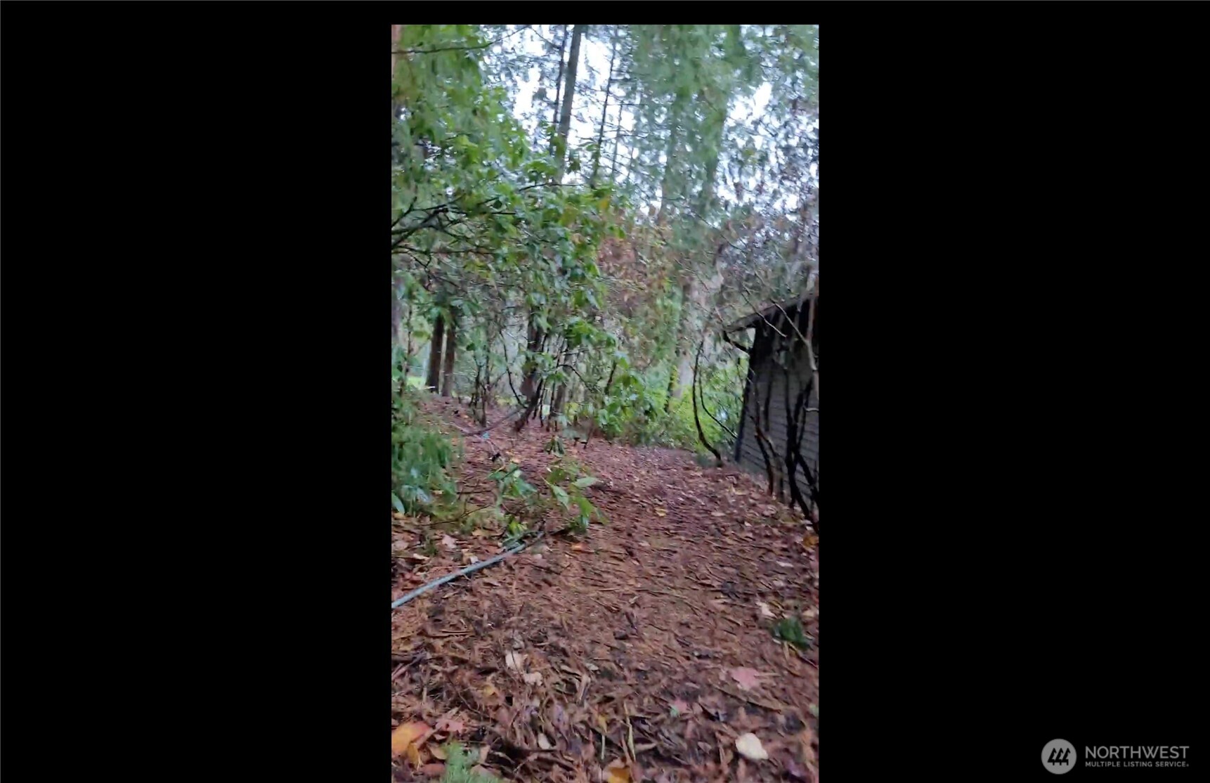 25601 SE 30th Street N Sammamish WA 98075