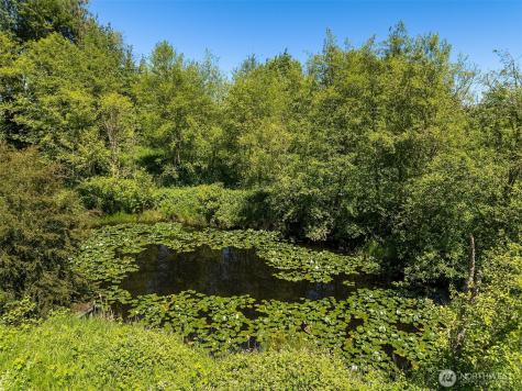 31405 SE Redmond-fall City Road Fall City WA 98024