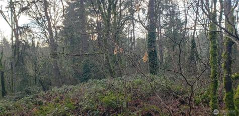 26 SW 308th Street Federal Way WA 98023