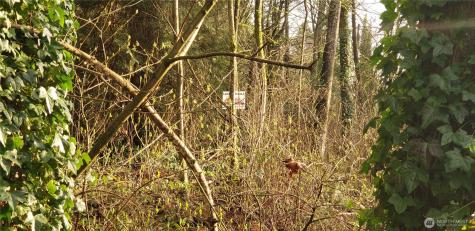 26 SW 308th Street Federal Way WA 98023