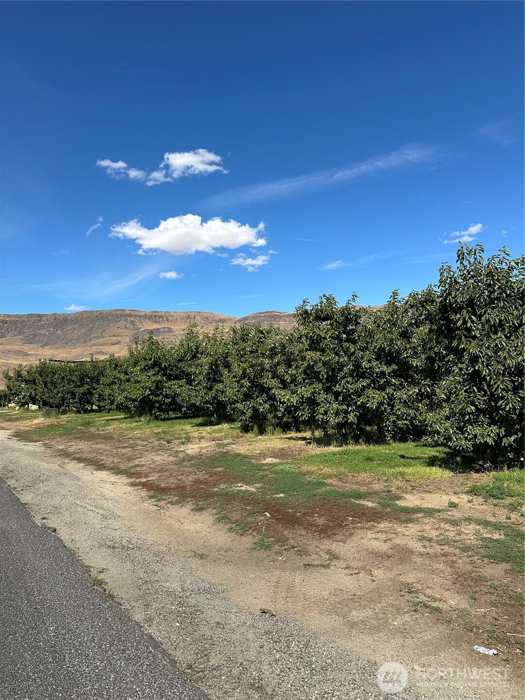 559 S Webb Avenue East Wenatchee WA 98802