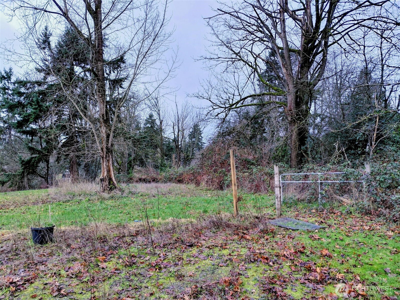 11730 SE 277th Place Kent WA 98030