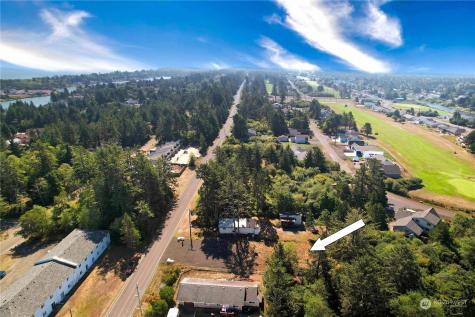 589 Dolphin Ocean Shores WA 98569