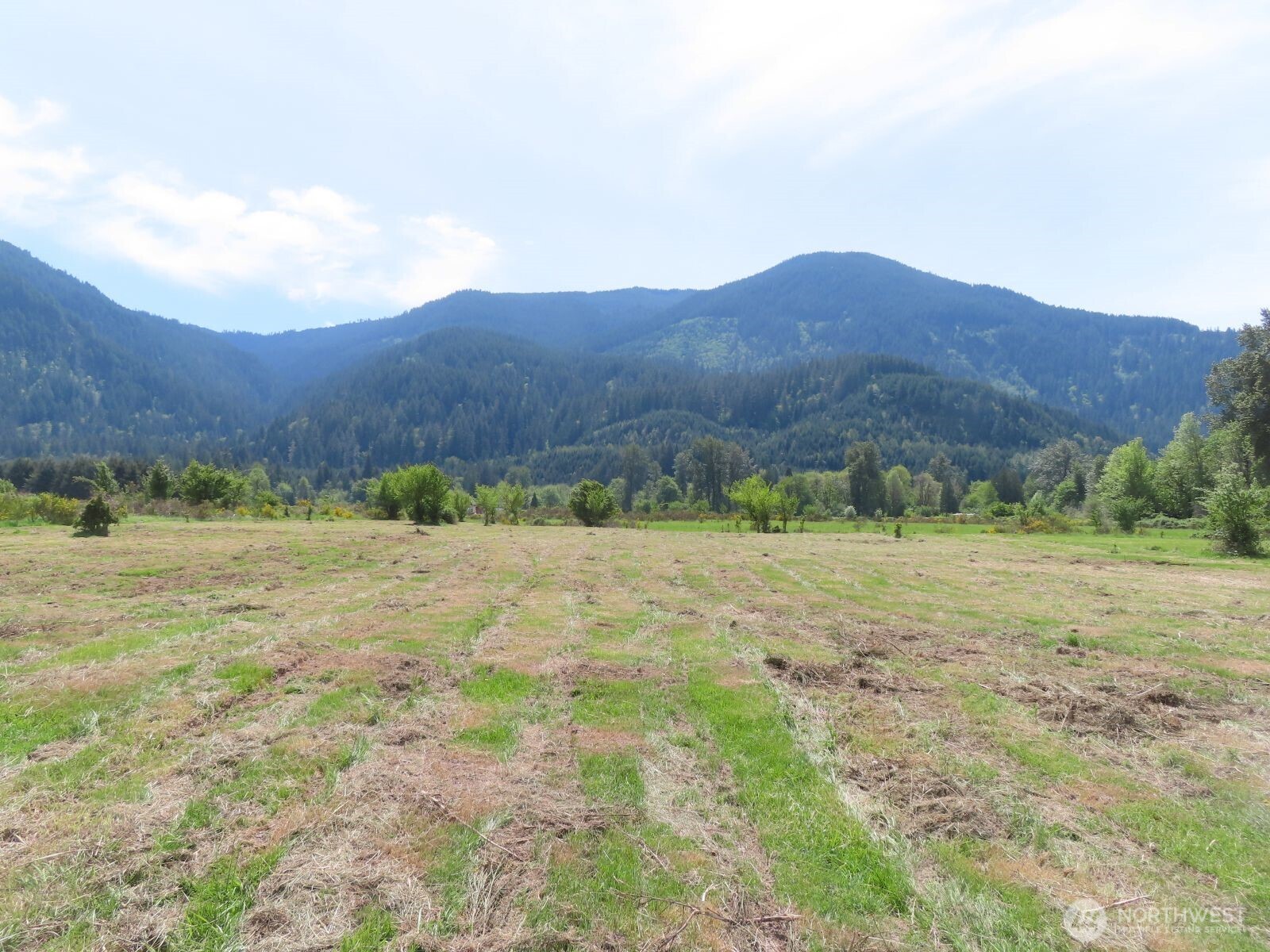 295 River Ranch Road Randle WA 98377