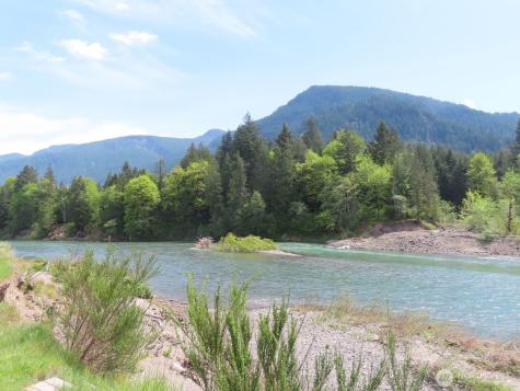 295 River Ranch Road Randle WA 98377